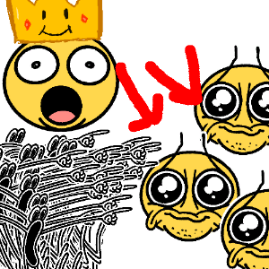 Crow Seeds Collection